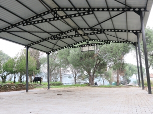 ektirli-cemiyet-alani
